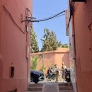 리아드호텔 | 모로코 마라케시 Riad d'ari 숙소후기 (조식.위치)