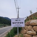1박 2일로 대구근교 오토캠핑장 찾아 경북군위캠핑장 팔공마루캠핑장 다녀온 후기