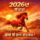 글로발 아쿠아리움 오아시스 | 프리랜서 자영업자 밴드지망생의 2025 연말결산