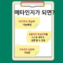 지엠에스메타