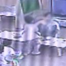 부산유치원 이미지