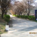 대붕초등학교 이미지