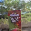 Shift | 북촌 팝업 리빙센스 센스앤더시티 2025 Sense Shift VIP 관람 후기 (Ft. 브라이언)