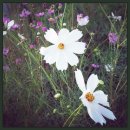 비움(Beum) 이미지