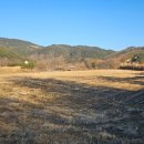 도리1길 이미지