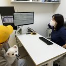 아이온메디칼 이미지