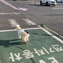 전기차충전소_제주항여객터미널 이미지