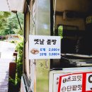 솔향공원 소나무전시관 이미지