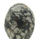 자연+인간+우연 이미지