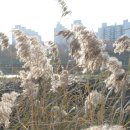 산복약수터 이미지