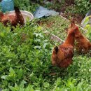 현주슈퍼 이미지