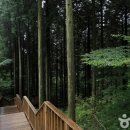 축령산 산소길(1구간) 이미지