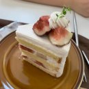 우주레이디가게 이미지