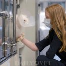 한국병원 앞 이미지