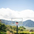 환경체육단지 다목적구장 | 농구 인프라 확충, 우리 동네 스포츠 복지에 미치는 영향