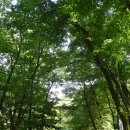 전남 곡성 도림사 계곡 방문후기 ㅡ 광주 근교 물 깨끗한 계곡추천(취사금지, 화장실, 계곡스팟 3...