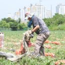 요셉농장 이미지