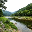 미산분교 캠핑장 이미지