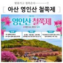 영인산산림박물관 | 충남 서울근교 철쭉명소 아산 영인산 철쭉제 일정 기본정보 셔틀버스 영인산산림박물관