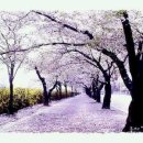 엘라이프 - 안성시 서동대로 4043 | 엘라이프
