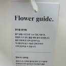 포이에마플라워 이미지