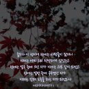 애가 이미지