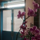 다도면복지센터 이미지