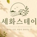 안온 민박 네이버블로그