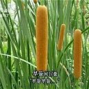 푸조대구서비스센터 이미지