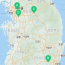 도그마루 강아지고양이 서초강남점 이미지
