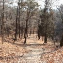 이곡중학교 이미지