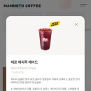 매머드익스프레스종로 이미지