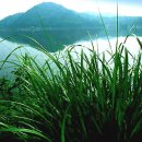 청용 낚시터 이미지