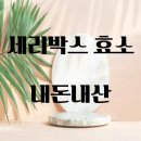 세리박스 가벼운 효소 다이어트 효과 솔직 후기