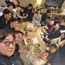 댕댕클럽 | 2025년의 기록