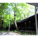 오쇼라즈니쉬 명상 이미지