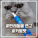 두둥 이미지