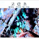 부여(임천)-14 | 백제의 수도 부여(사비)를 찾아서