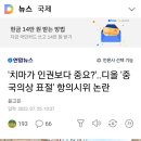 '치마가 인권보다 중요?'..디올 '중국의상 표절' 항의시위 논란 이미지