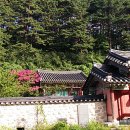 명주군왕릉 이미지