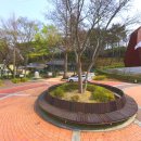 진주 연화사 목조 아미타여래좌상 이미지