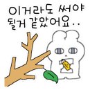 대구대가리치킨공장 이미지
