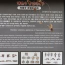 해련사 장엄의식구 이미지