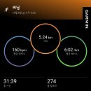 뉴홍익 | 홍대 뉴발란스 러닝화 레벨v5 구매 주차 런린이 착용후기