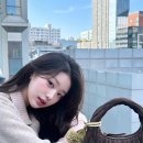 퍼피아뜰리에 | 위위 아뜰리에 솔직 후기 / 데일리 헤메