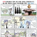 큐맥스수학학원 이미지