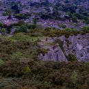 춘천숲펜션 이미지