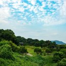 임씨 가묘 이미지