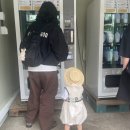 현목장 | 제주 아이랑 갈만한 곳 | 아침미소목장 (무료입장) 5살 아이와 다녀온 후기