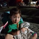 논산계룡농업협동조합 벌곡지점 판매취급소 | 대전 근교 계곡 캠핑장 대둔산 도립공원 오토캠핑장 2박3일 후기